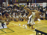 部会紹介